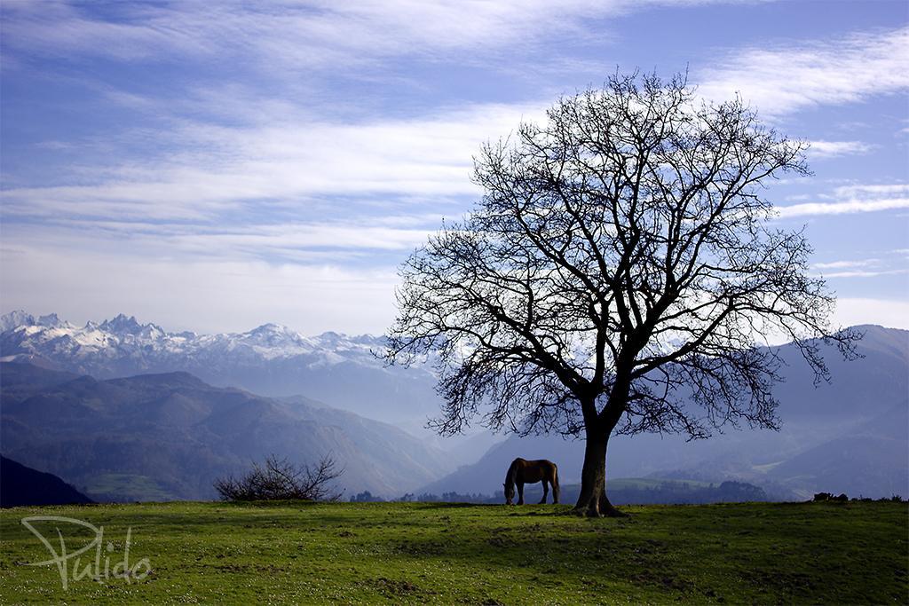 La Montana Magica Rural 3* Vibano